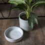Waston Pot with Saucer – Off White – 5.25″